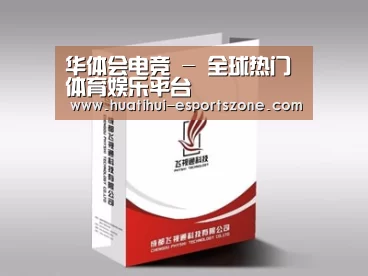 项目名称十三