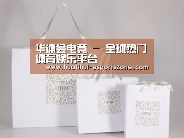 项目名称十一