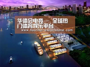 案例展示八
