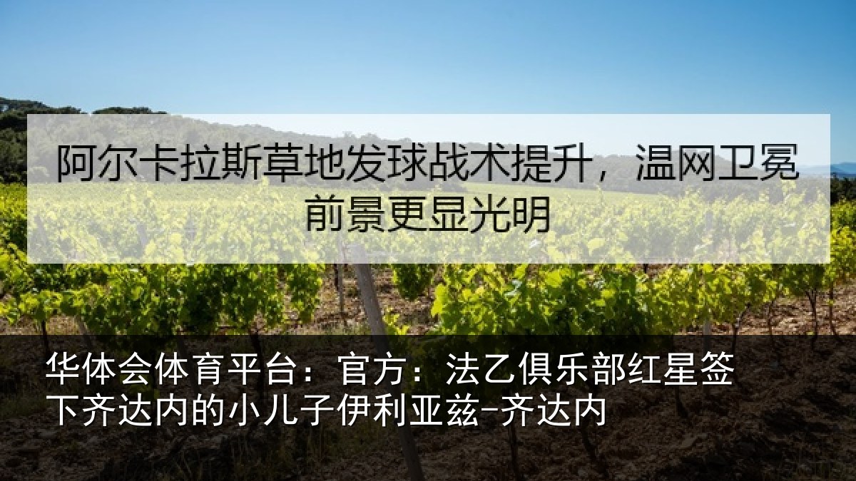 华体会体育平台:官方相关情况下相相关情况内