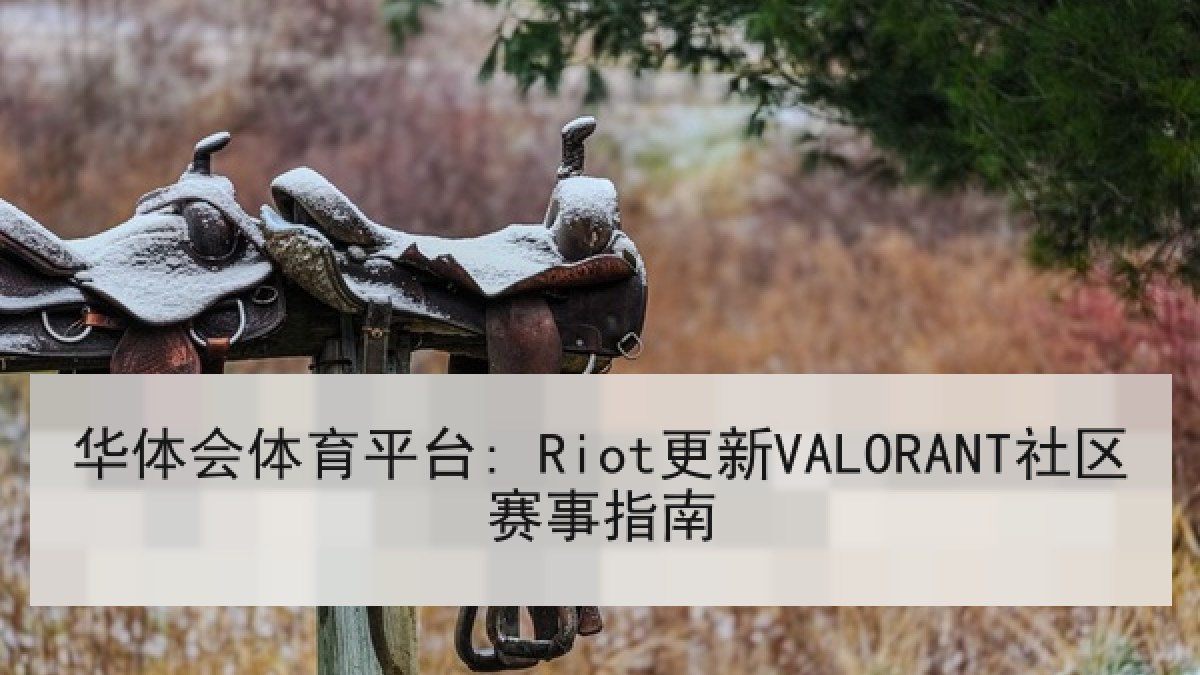 华体会体育平台: Riot更新VALORANT社区赛事指南