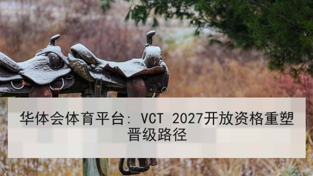 华体会体育平台: VCT 2027开放资格重塑晋级路径 华体会体育平台: VCT 2027开放资格重塑晋级路径