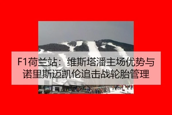 he-lan-zhan-wei-si-ta-pan-zhu-chang-you-shi-yu-nuo-li-si-mai-kai-lun-zhui-ji-zhan-lun-tai-guan-li-2-981.jpg